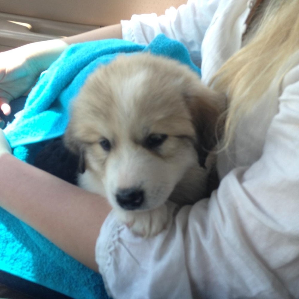 Meet your Posher, Marcia